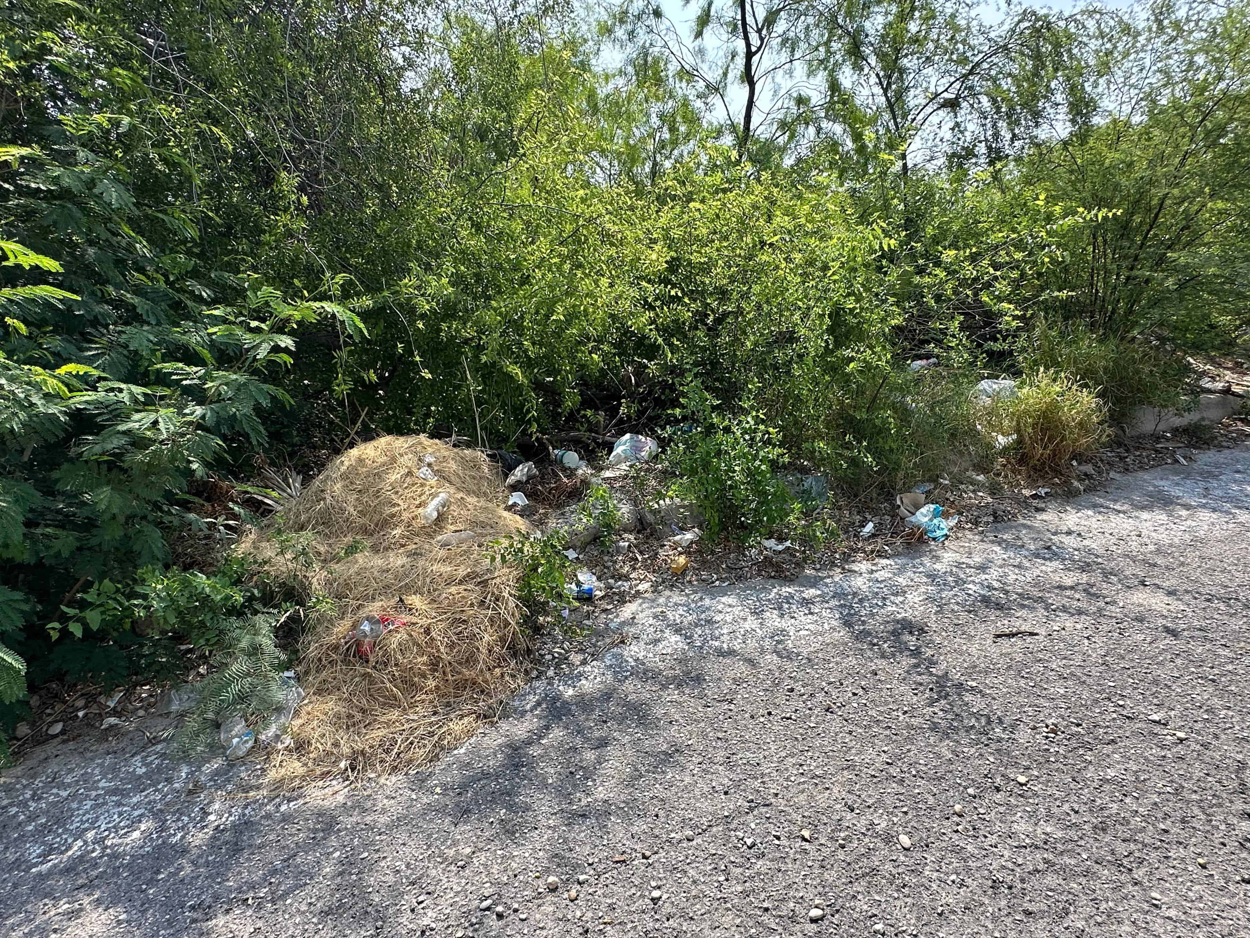 La voz en tu colonia: Calles horribles y basureros clandestinos en la Chapultepec
