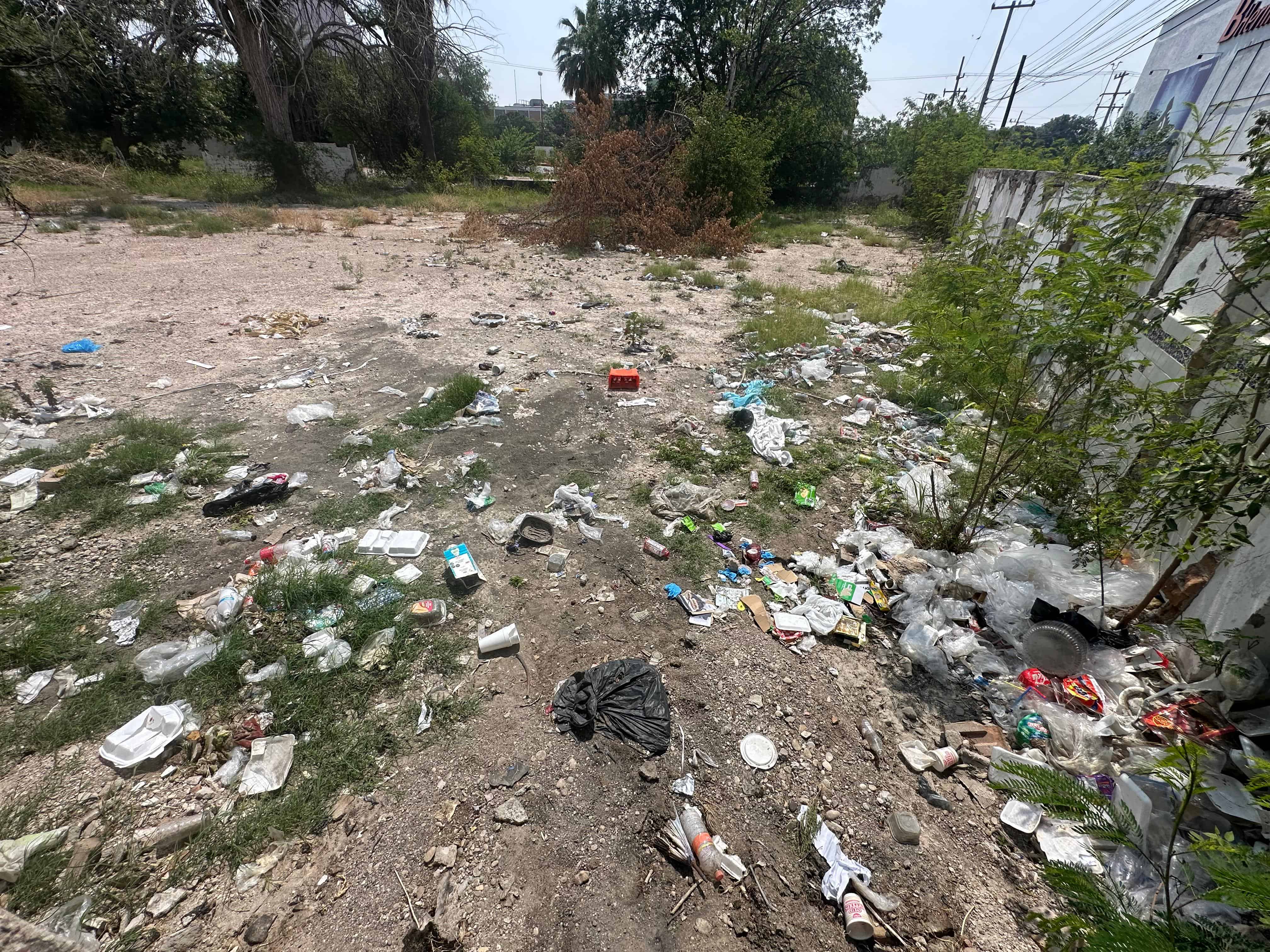 La voz en tu colonia: Calles horribles y basureros clandestinos en la Chapultepec