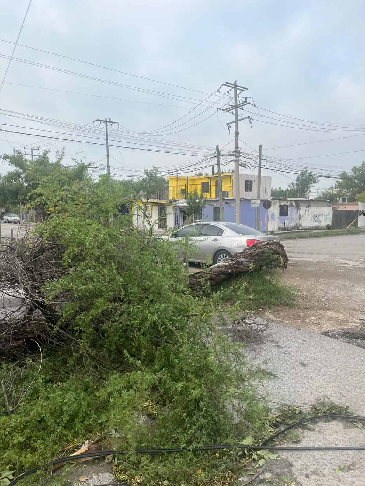 Nigropetenses denuncian negligencia municipal tras tormenta en la Feria del Norte