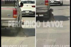 Investigan en Frontera a sujeto que arrastró y desvivió a un perro con su camioneta