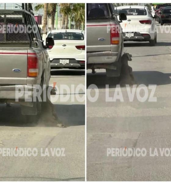 Investigan en Frontera a sujeto que arrastró y desvivió a un perro con su camioneta