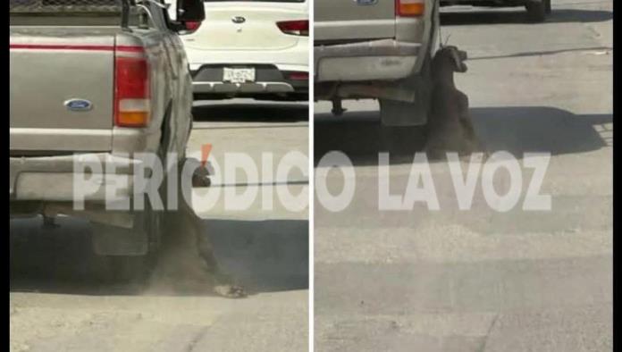 Investigan en Frontera a sujeto que arrastró y desvivió a un perro con su camioneta