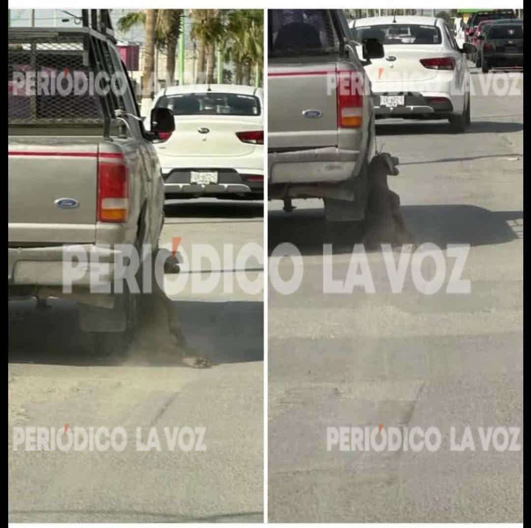Investigan en Frontera a sujeto que arrastró y desvivió a un perro con su camioneta