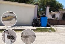 Vecinos del Centro de Nava exigen soluciones: Calles destrozadas y basura sin control
