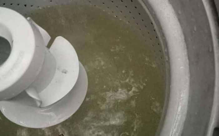 Denuncian CRISIS DE AGUA en Allende: crecen las quejas y no hay soluciones a la vista