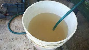 Denuncian CRISIS DE AGUA en Allende: crecen las quejas y no hay soluciones a la vista