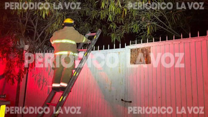 Pánico en colonia José de las Fuentes por panal de abejas en dos domicilios