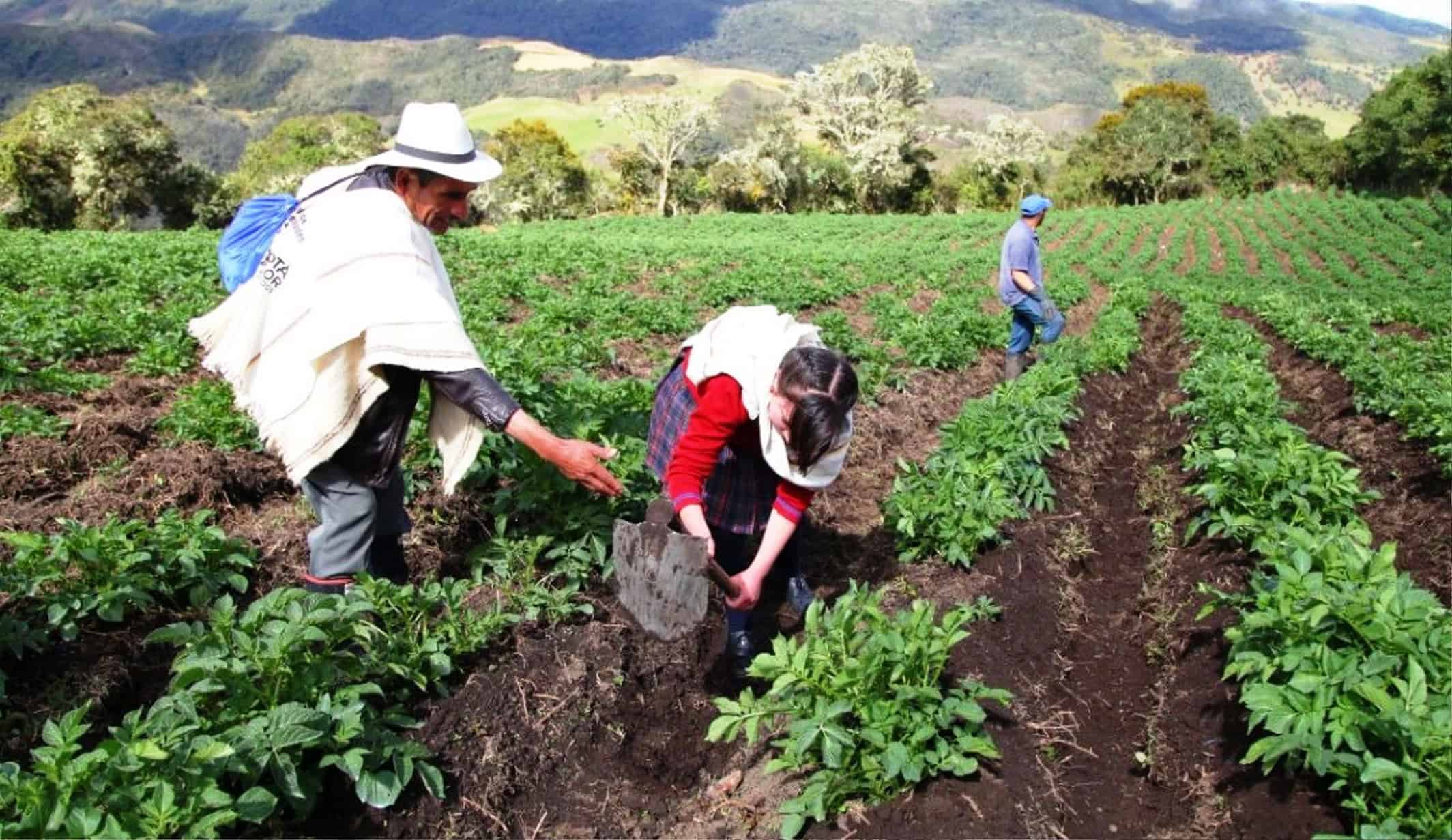 Confirma el PRI unidad en Arteaga