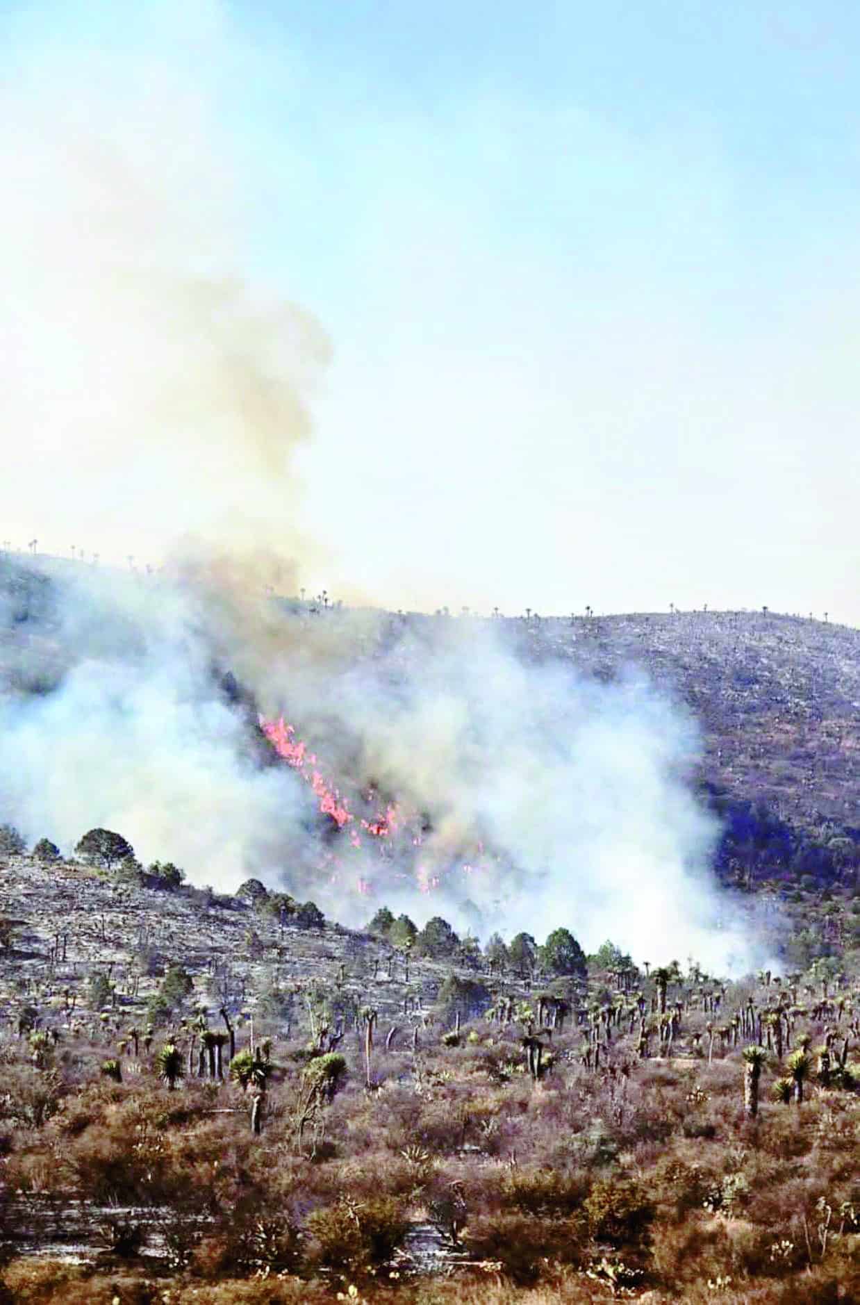 Abarca incendio 500 hectáreas en el Rancho Los Ángeles