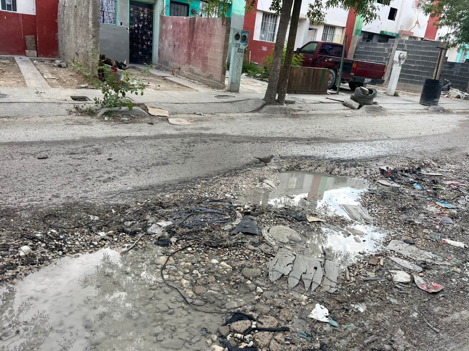 La voz en tu colonia: Calles destruidas y creciente inseguridad en Altos de Santa Teresa