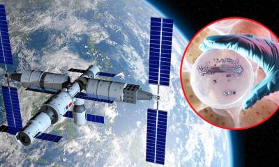 Descubren en la estación espacial china una bacteria mutante.