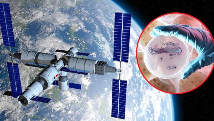 Descubren en la estación espacial china una bacteria mutante.