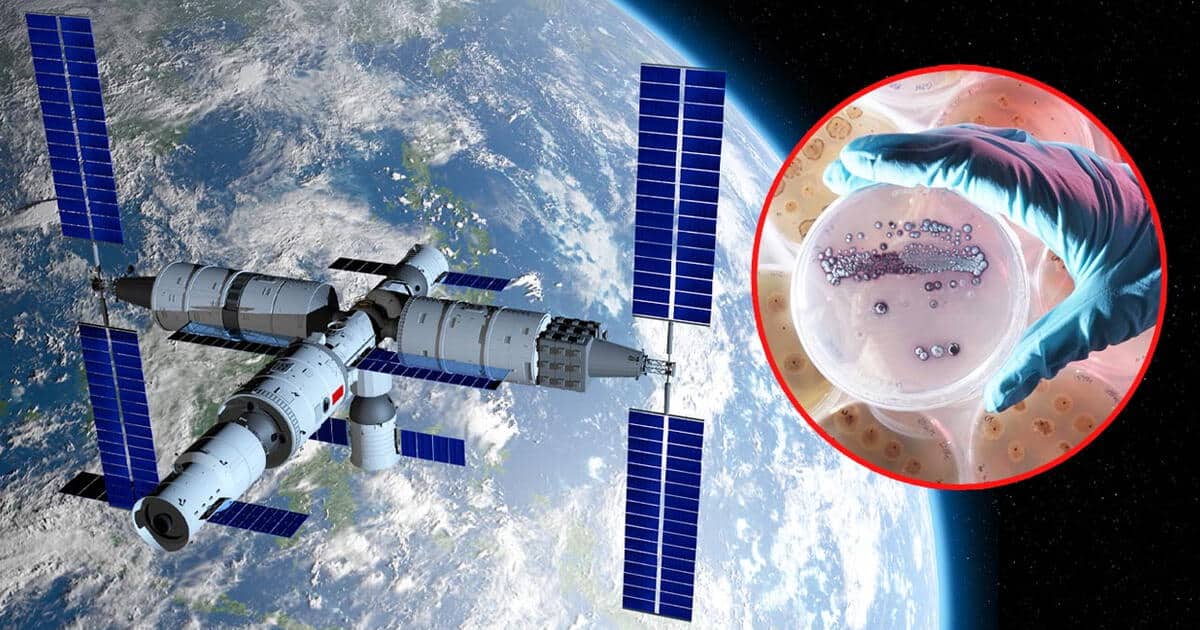Descubren en la estación espacial china una bacteria mutante.