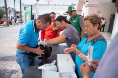 Castaños lanza brigada gratuita para mascotas con vacunas, desparasitación y baños