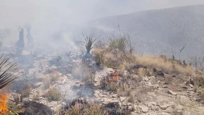 Lluvia ayuda a controlar incendio en cerro de La Gloria; siguen labores de vigilancia