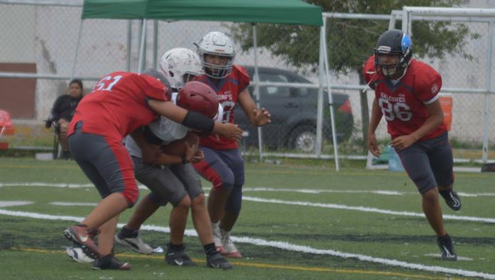 Falcons vence a Búfalos en Pee Wee y Junior rumbo a playoffs en la LIFARC