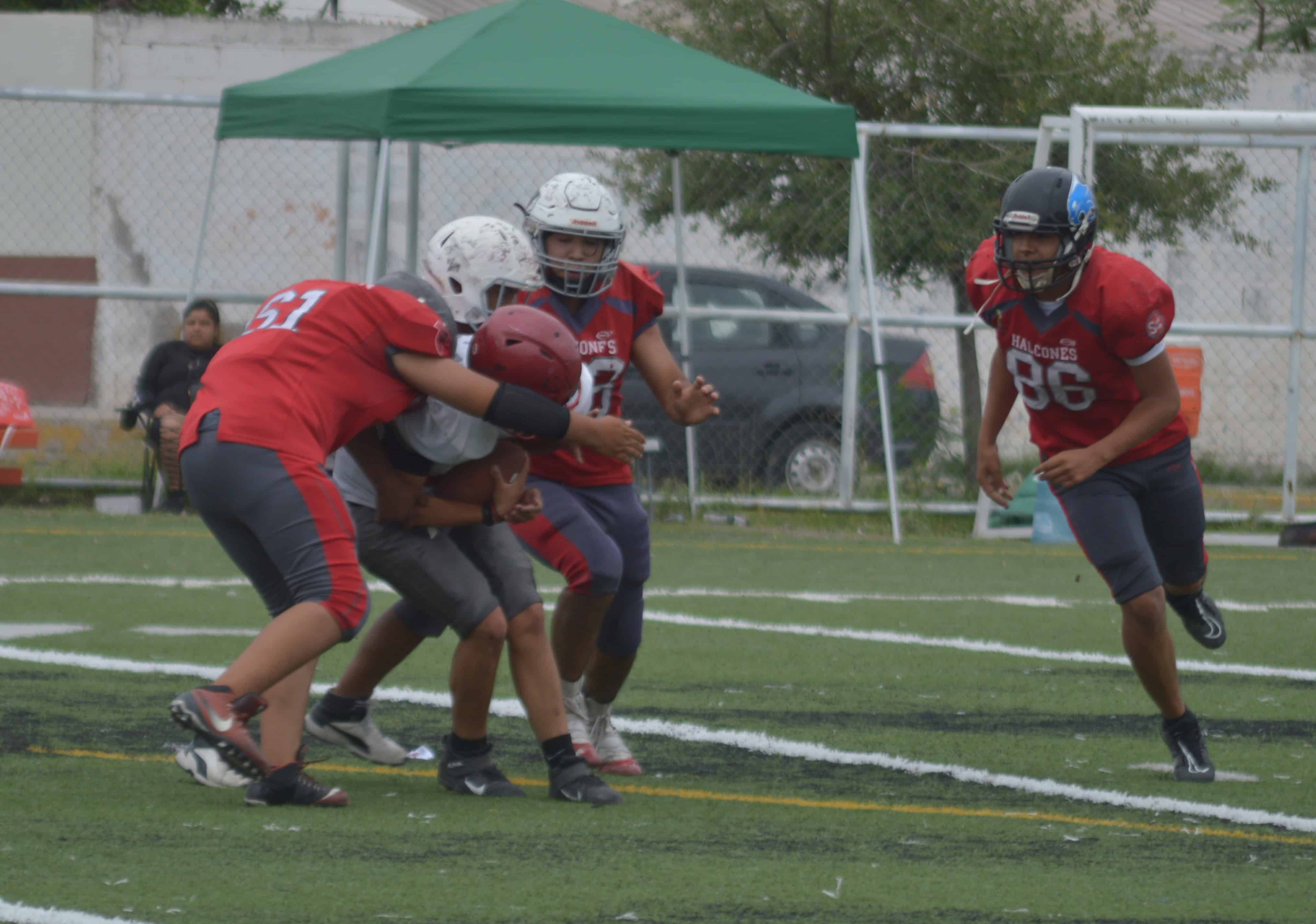 Falcons vence a Búfalos en Pee Wee y Junior rumbo a playoffs en la LIFARC