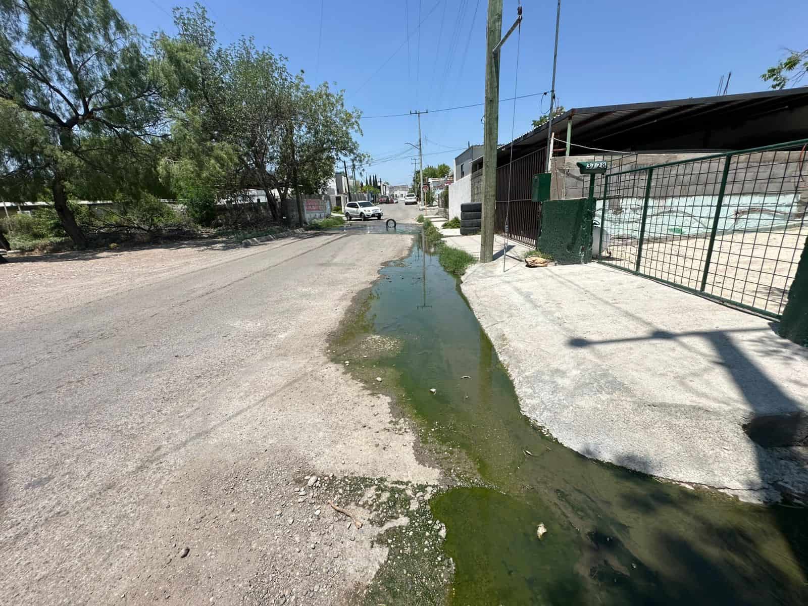 La voz en tu colonia: Se ahoga la Hidalgo entre aguas negras y olvido 