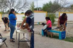 Refuerzan brigadas de salud para mascotas en colonias de Acuña