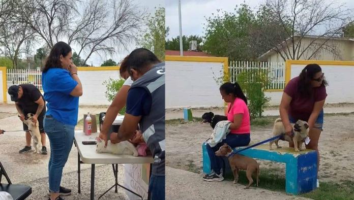 Refuerzan brigadas de salud para mascotas en colonias de Acuña