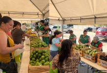 Llega el programa "Mercadito Mejora" a la colonia Francisco I. Madero en Ciudad Acuña