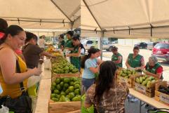 Llega el programa "Mercadito Mejora" a la colonia Francisco I. Madero en Ciudad Acuña