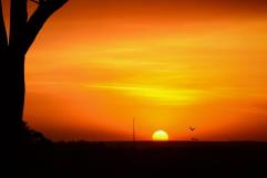Emiratos Árabes Unidos sufre temperaturas de 51 grados centígrados