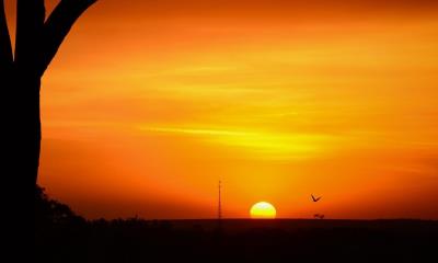 Emiratos Árabes Unidos sufre temperaturas de 51 grados centígrados