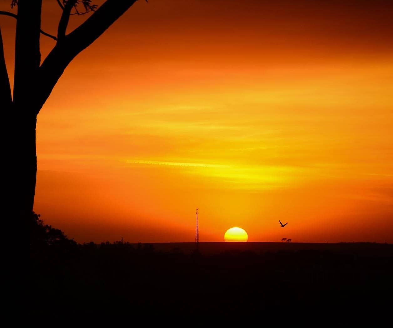 Emiratos Árabes Unidos sufre temperaturas de 51 grados centígrados