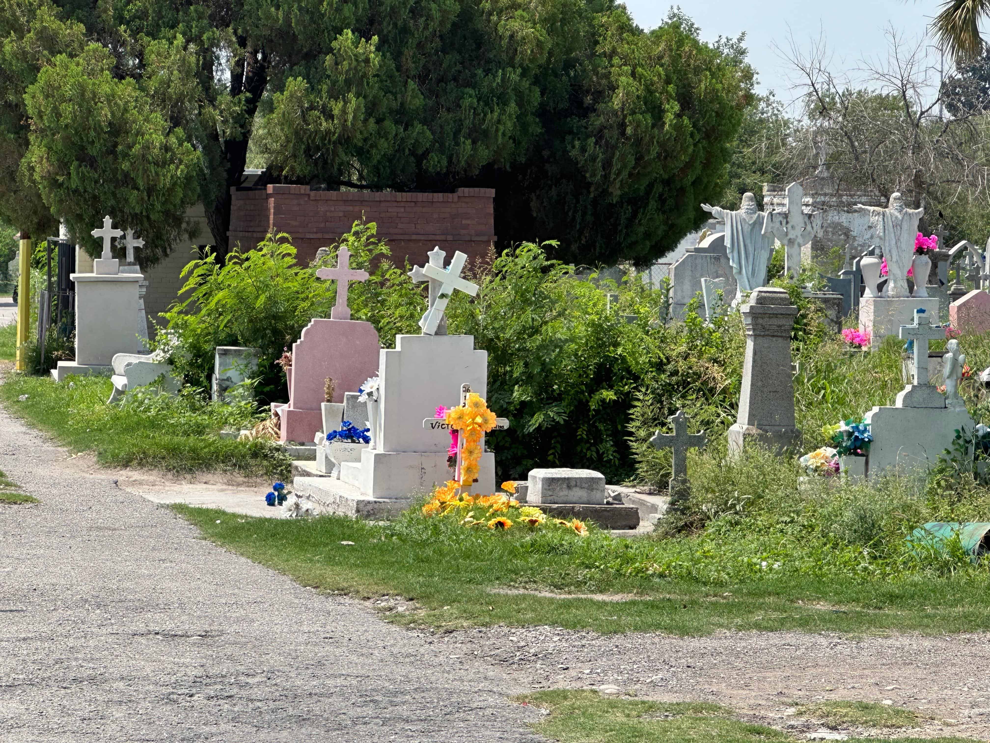 La voz en tu colonia: Reclaman abandono en Buena Vista Sur