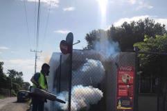 Plaga de moscas y mosquitos invade Nava