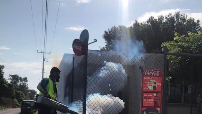 Plaga de moscas y mosquitos invade Nava
