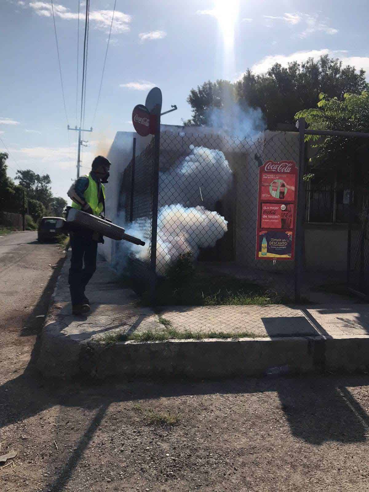 Plaga de moscas y mosquitos invade Nava
