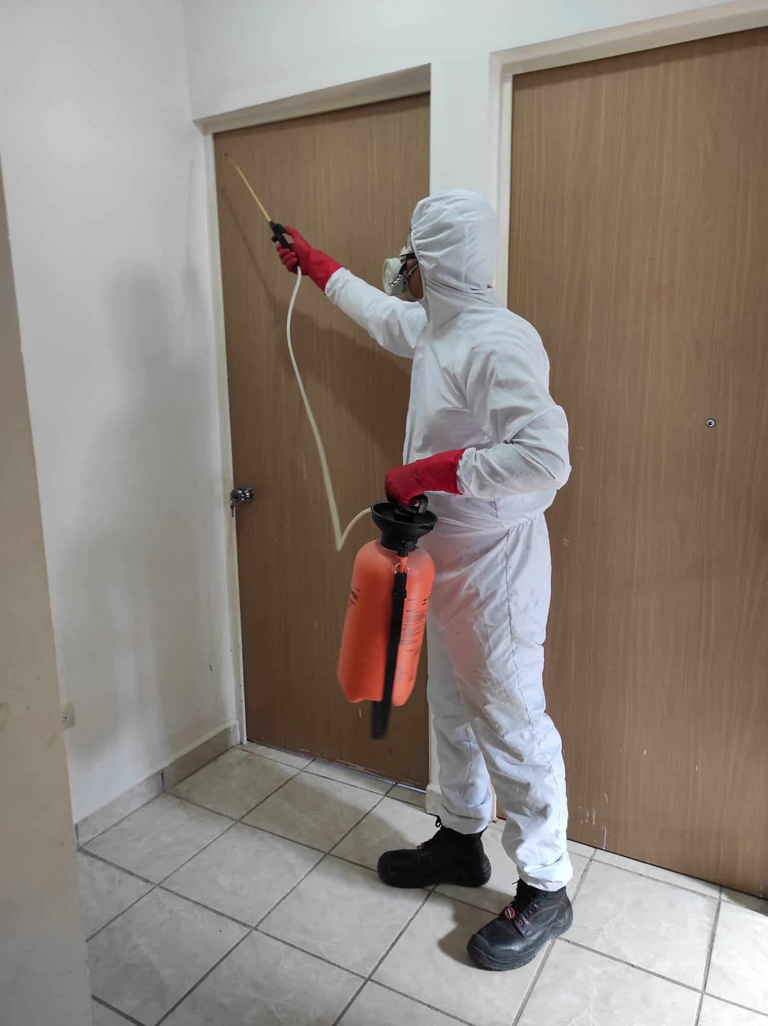 Plaga de moscas y mosquitos invade Nava