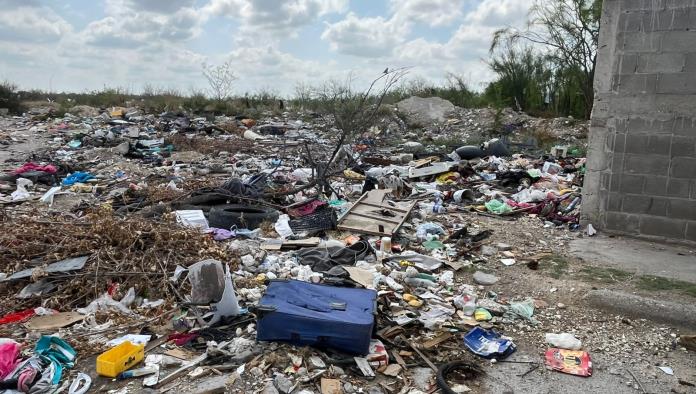 Basura y abandono: foco de infección en colonia Altos de Santa Teresa