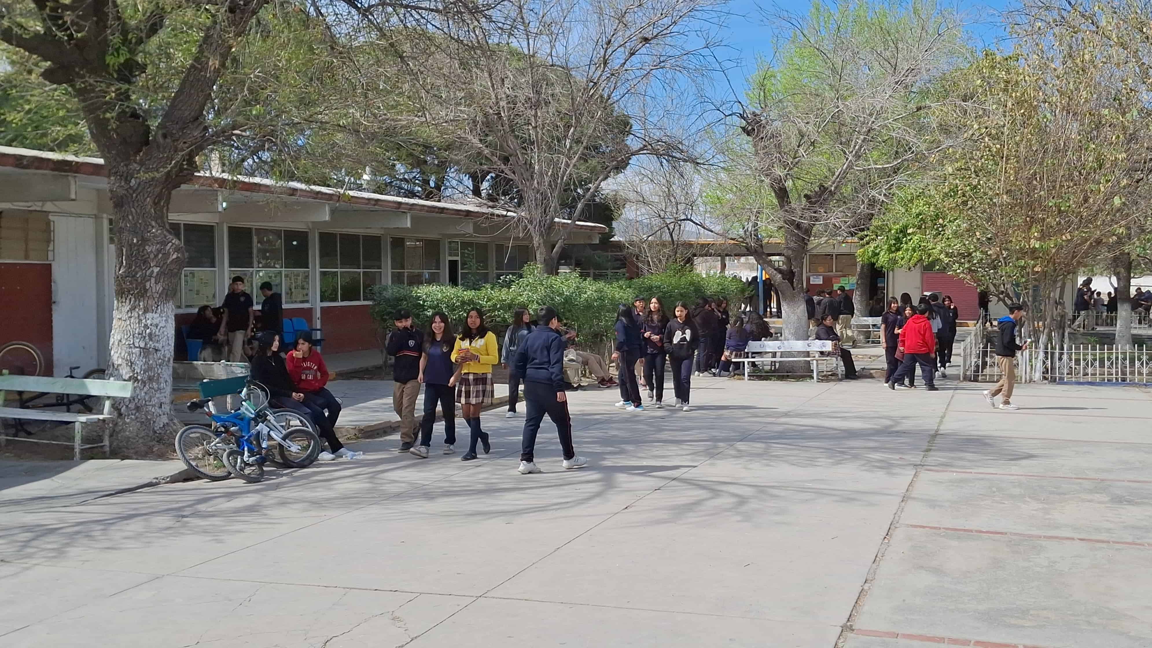 Escuelas públicas en Monclova prohíben que niños se sienten por presencia de pulgas