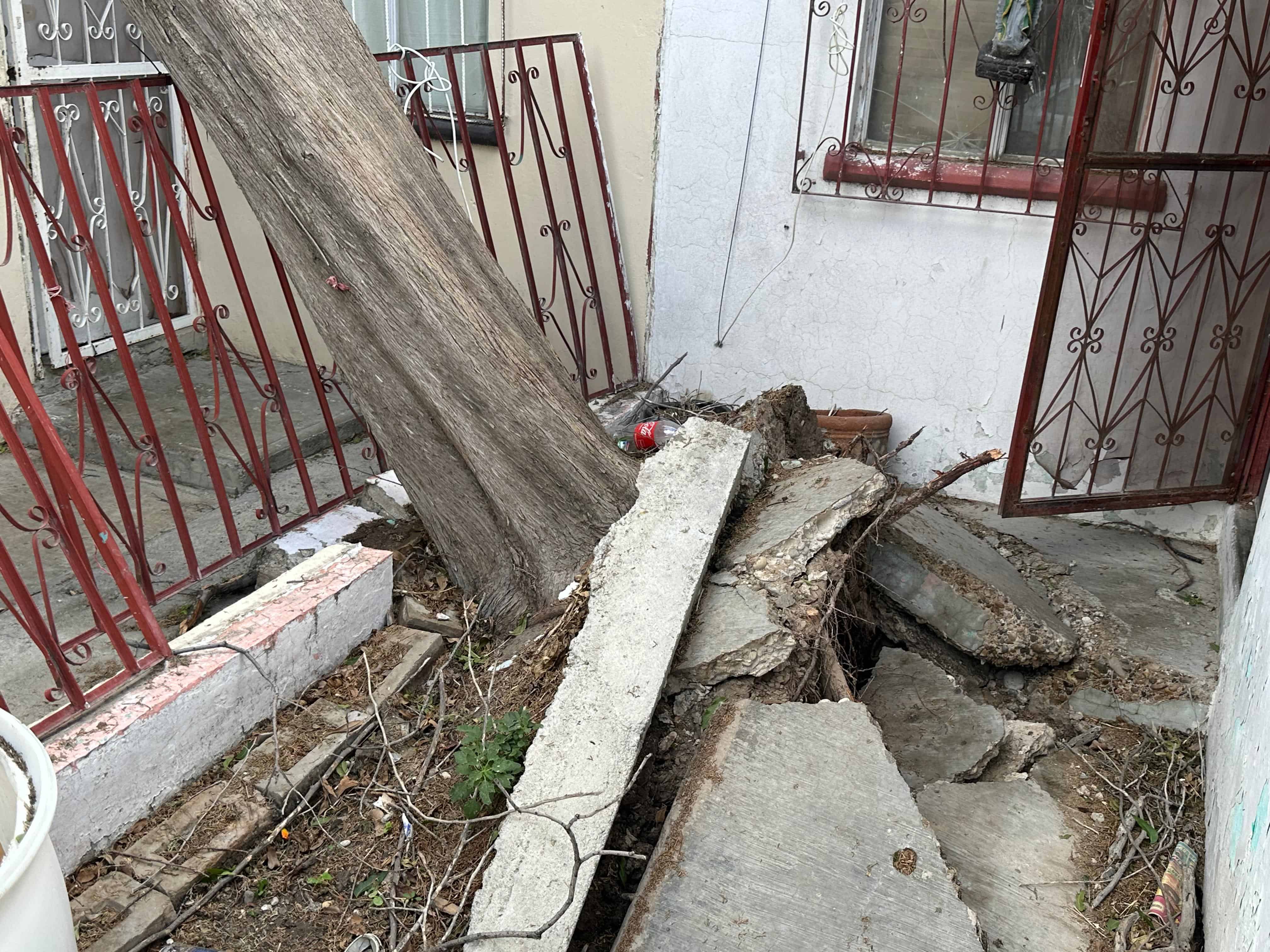 Violenta tormenta deja sin luz a más de 30 colonias en PN