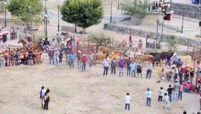 Crueldad disfrazada de fiesta: amarran cohetes a gatos en rodeo de Guanajuato