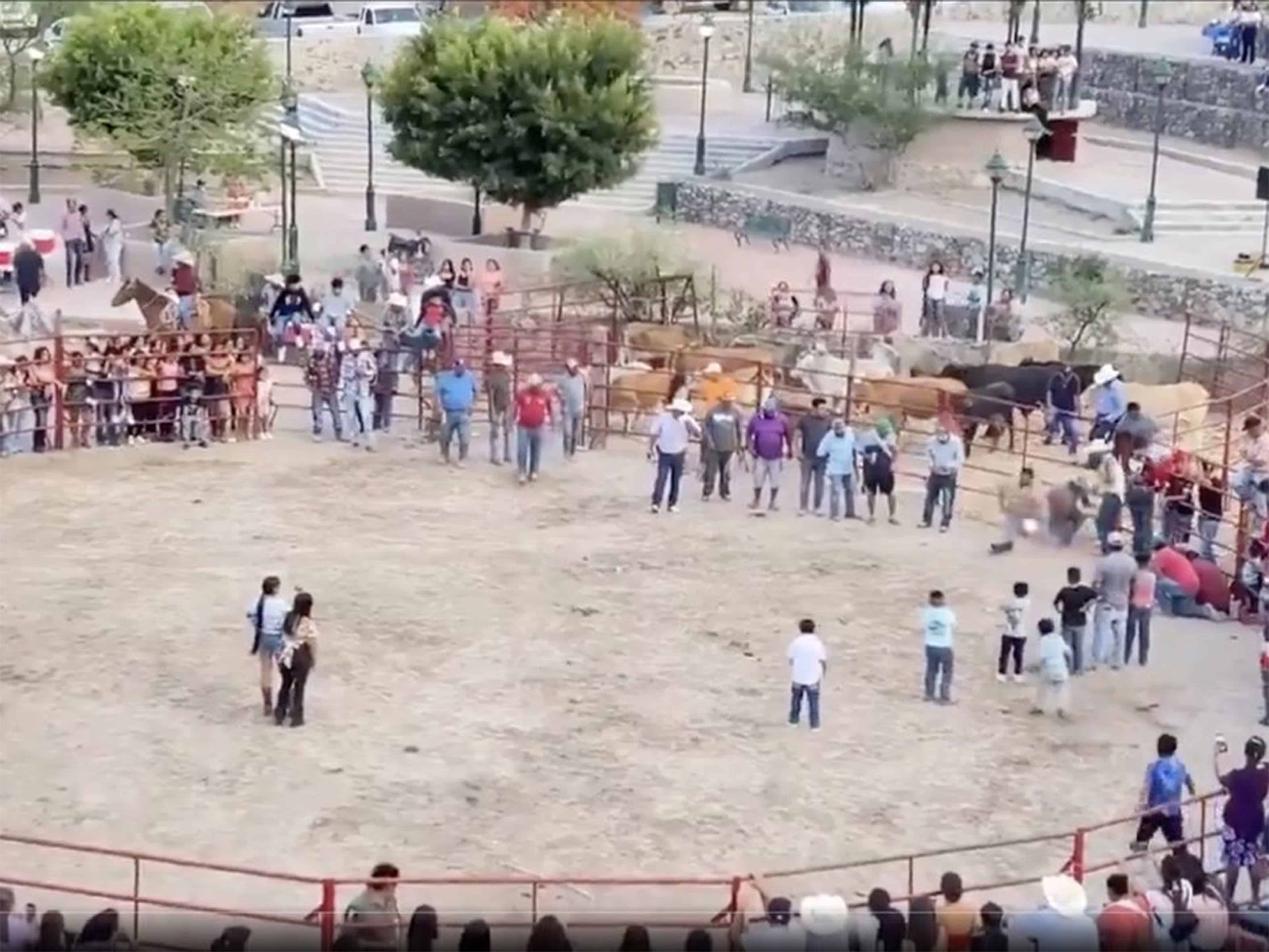 Crueldad disfrazada de fiesta: amarran cohetes a gatos en rodeo de Guanajuato