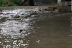 Lluvias en la carbonífera no dejó afectaciones de gravedad