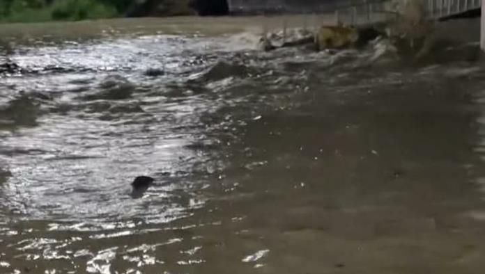 Lluvias en la carbonífera no dejó afectaciones de gravedad