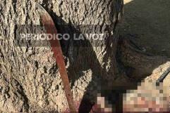 Varón se debate entre la vida y la muerte