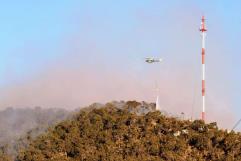 Es Arteaga la zona más afectada por incendios