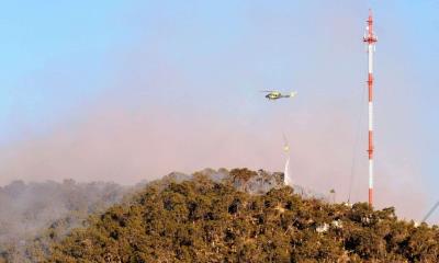 Es Arteaga la zona más afectada por incendios
