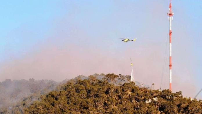Es Arteaga la zona más afectada por incendios