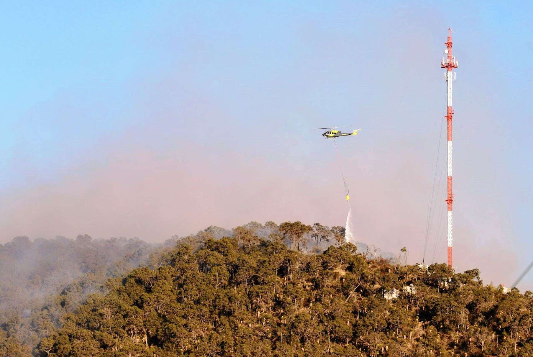 Es Arteaga la zona más afectada por incendios