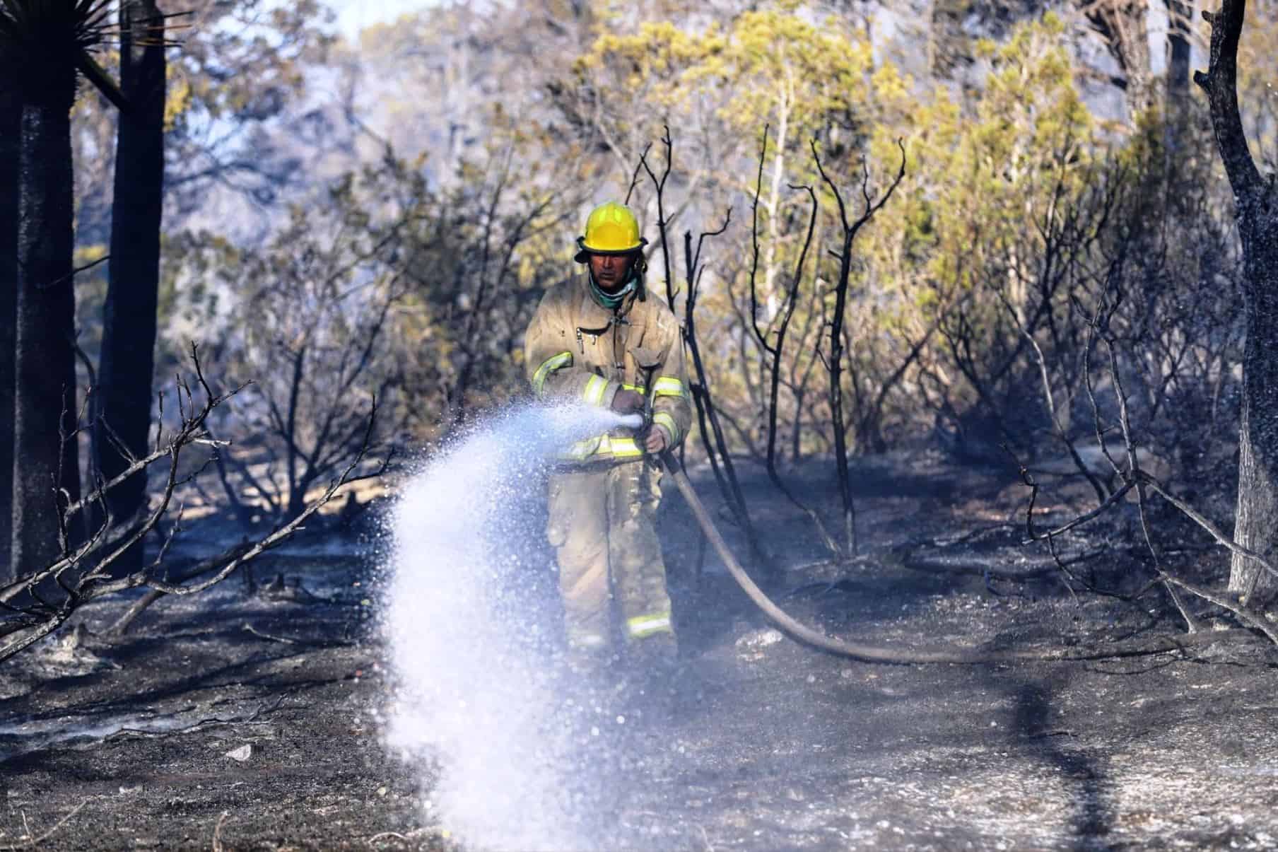 Es Arteaga la zona más afectada por incendios