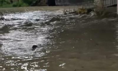 Tormenta en Sabinas causa inundaciones, daños a viviendas y activa protocolos