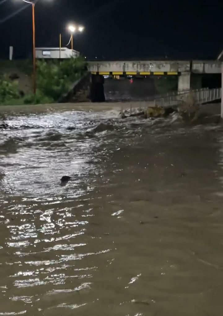 Tormenta en Sabinas causa inundaciones, daños a viviendas y activa protocolos