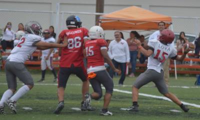 LIFARC Juvenil 2025: Falcons, Bucaneros, Acereros y Búfalos listos para playoffs